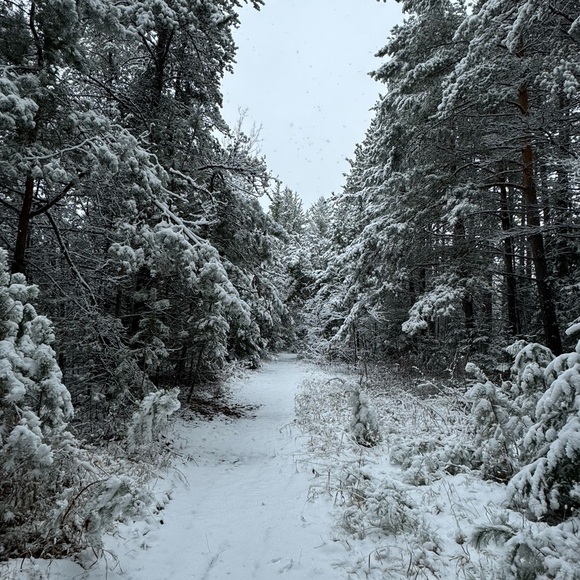 BDG Urban Outfitters Unisex Beach Cardigan S Brown NWOT - Picture 7 of 8